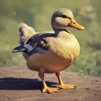 the strongest ducky