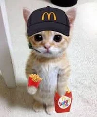 El Gato In McDonalds