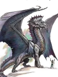 Dragon Rider Academy