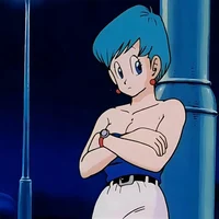 Bulma Briefs 