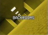 the backrooms