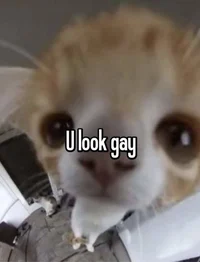 -About Me-