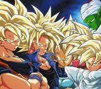 The Z fighters