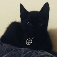 666Nika666