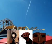 PHEN Follower Locust