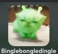 binglebongledingle