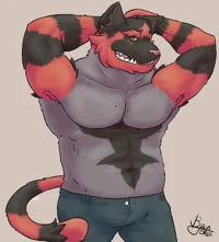 Friend Incineroar