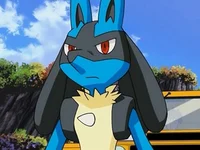 Lucario show RP