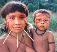 Yanomami tribe