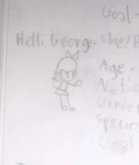 Helli George
