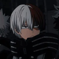 Shoto Todoroki
