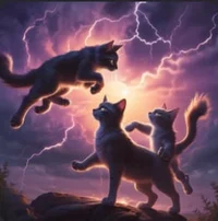 Warrior cats