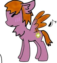 Зотти Старр