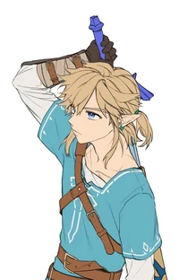 Link - BOTW