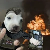 Dog soldier