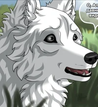 Черника и Снегопад 