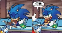 Sonic Boom RP