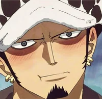 Law