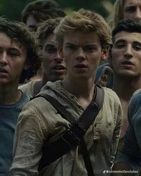Newt