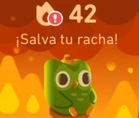Duolingo