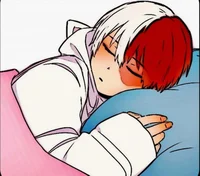 Shoto Todoroki 