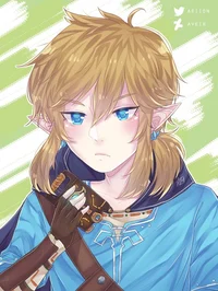 Link - BOTW