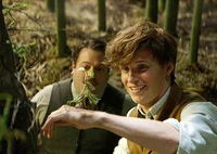 Newt Scamander 