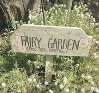 Fairy garden 