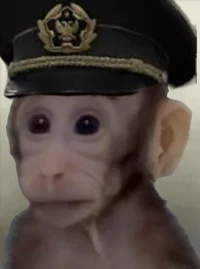 Yazov Monkey