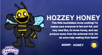 Hozzey honey