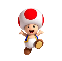 Toad