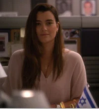 Ziva David