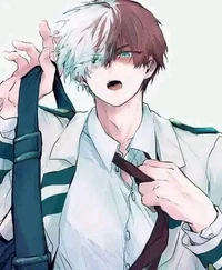 Demon Shoto Todoroki