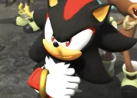 Shadow The Hedgehog 
