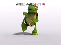 British turtle rap