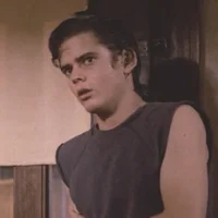 Ponyboy Curtis 