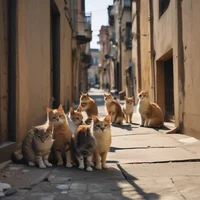 Stray cats 