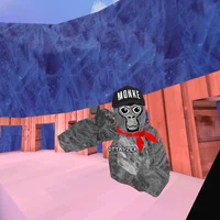 The experiment Ryzer