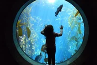 girl with the animal