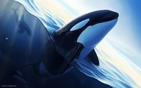 Killer whale rp