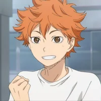 Shoyo Hinata 
