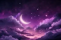 The dream you had