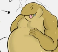 Fat toad