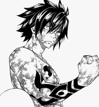 Gray Fullbuster 