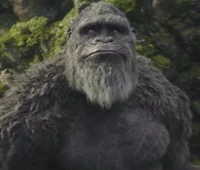 Sad Kong