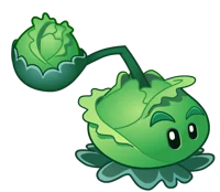 cabbagepult