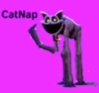 CatNap - BFEC