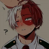Shoto todoroki 