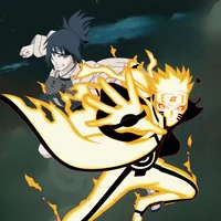 Anko and Wally Fight