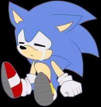 Sonic the hedgehog 